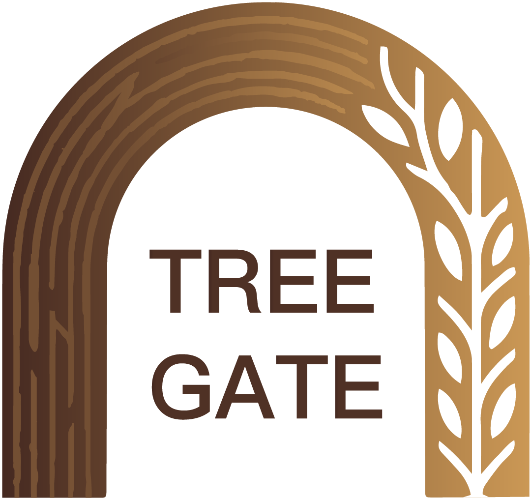 樹門 | Tree Gate 自然與森林療癒